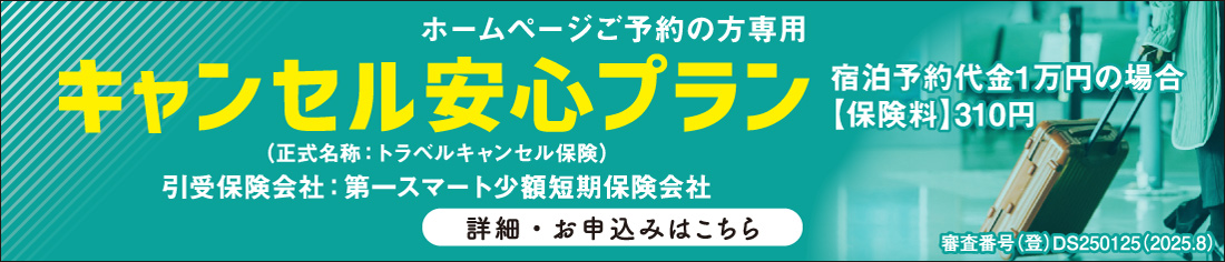 安心保険